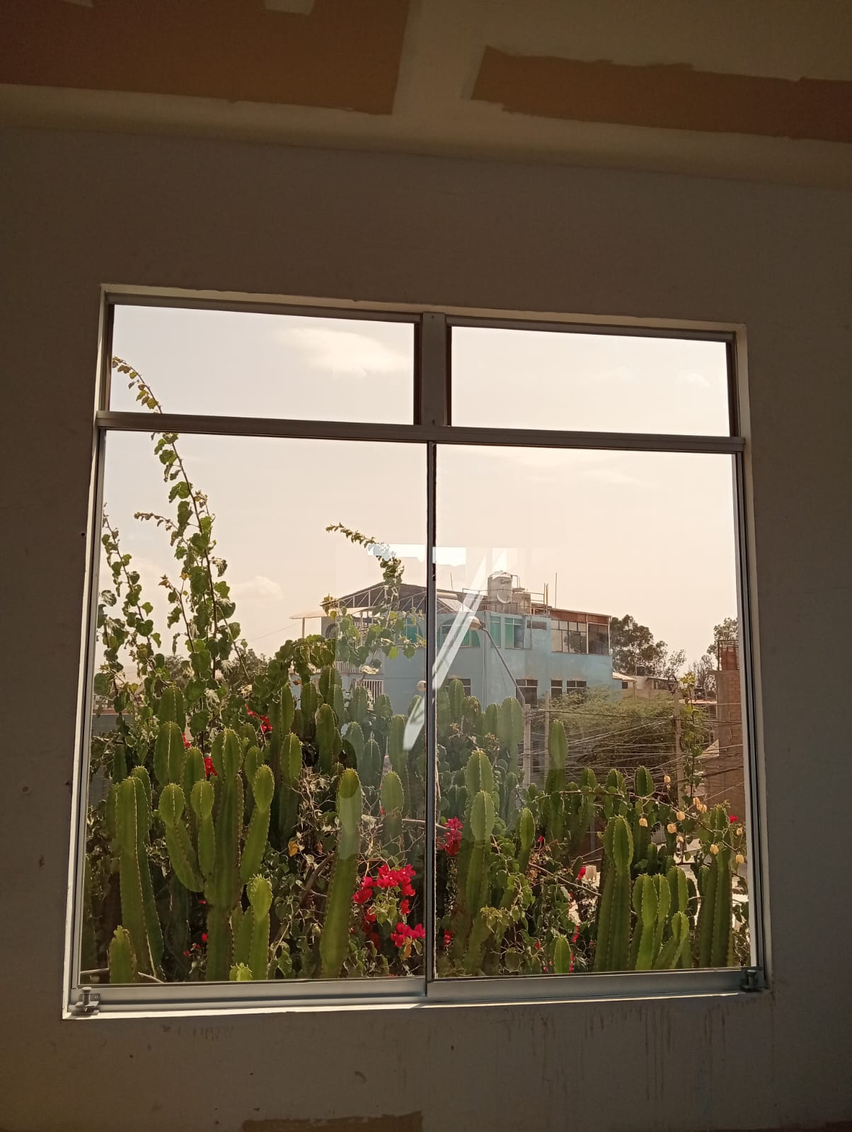 WhatsApp Image 2024-02-29 at 3.40.17 PM