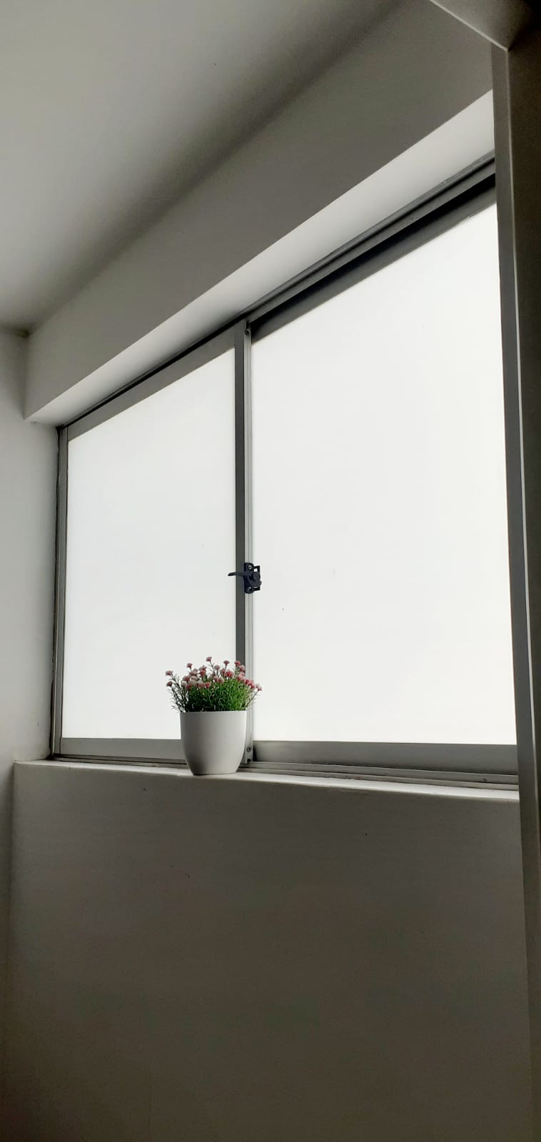 WhatsApp Image 2024-02-29 at 5.18.42 PM (1)